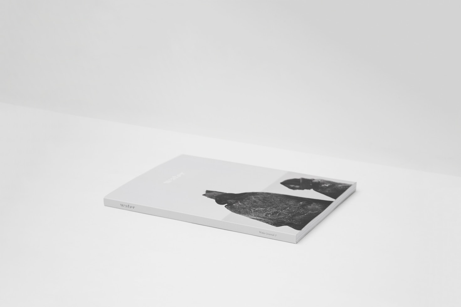 Updates on the Progress of Our Publication